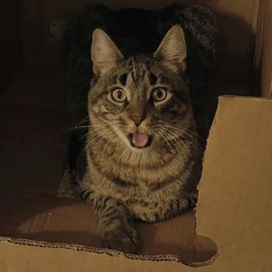 Meet your Posher, Andrew